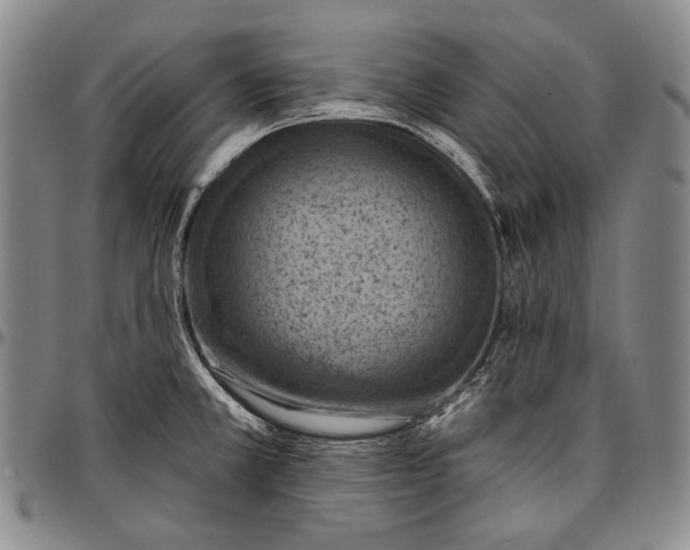 X0000096681381200802191342