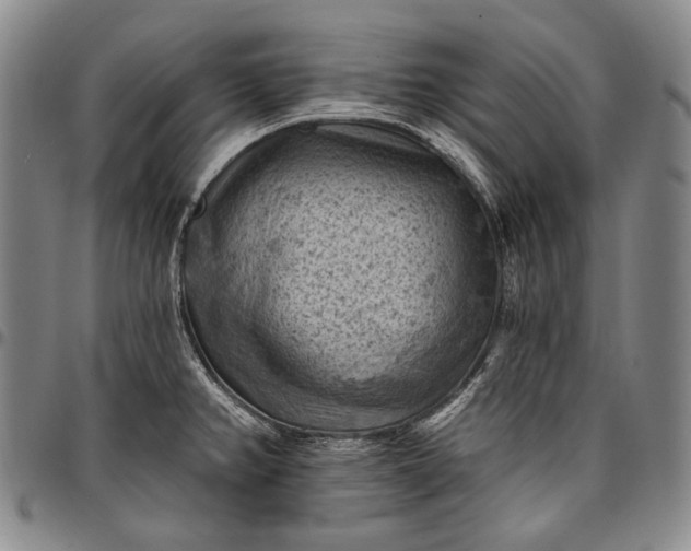 X0000096681382200802191342