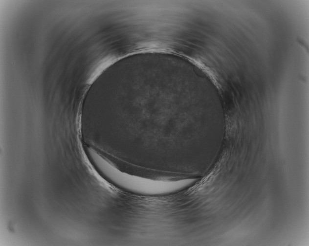 X0000096681383200802191342