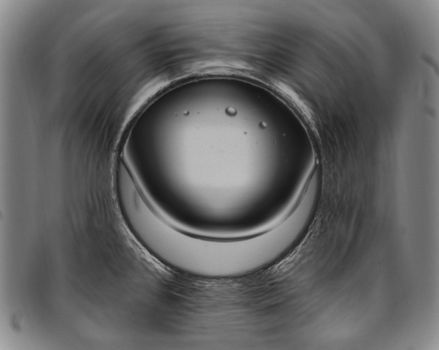 X0000096681384200802191342
