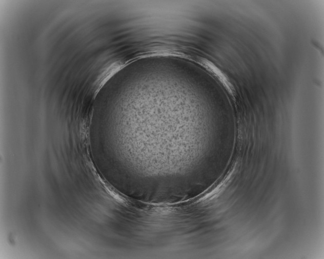 X0000096681385200802191342