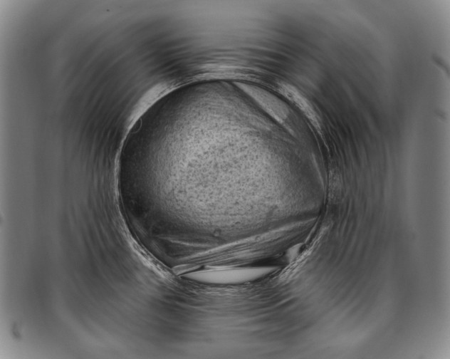 X0000096681386200802191342