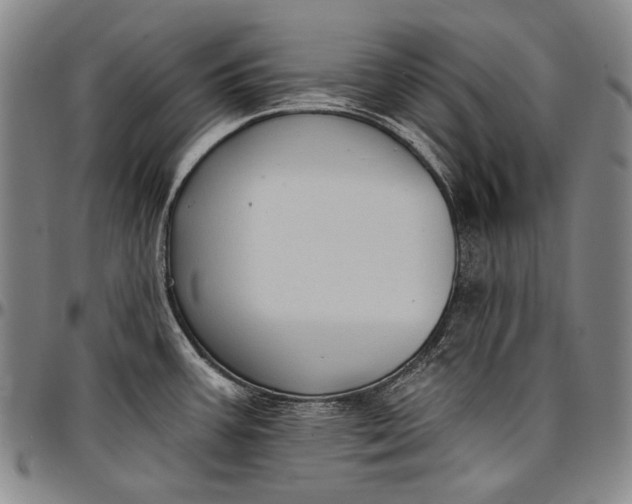 X0000096681387200802191342
