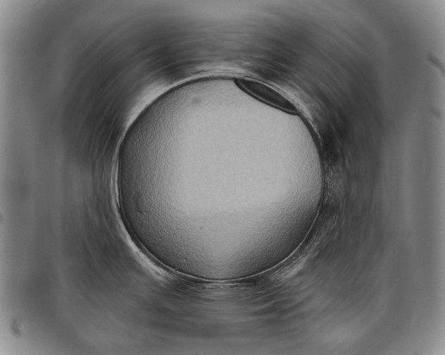 X0000096681391200802191342
