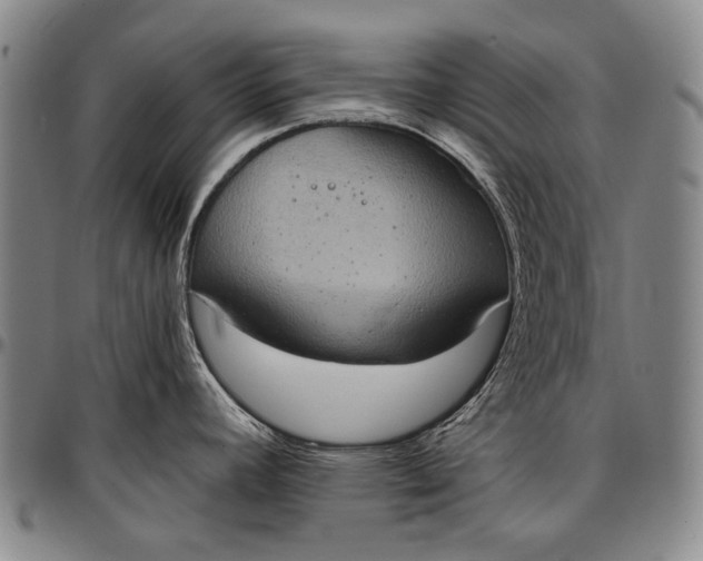 X0000096681392200802191342