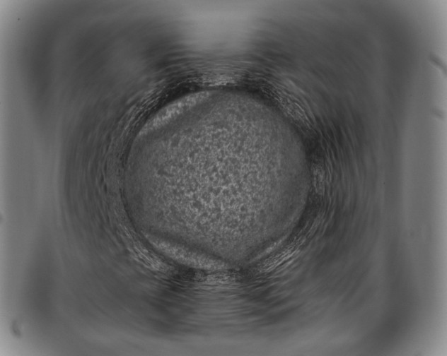 X0000096681393200802191342