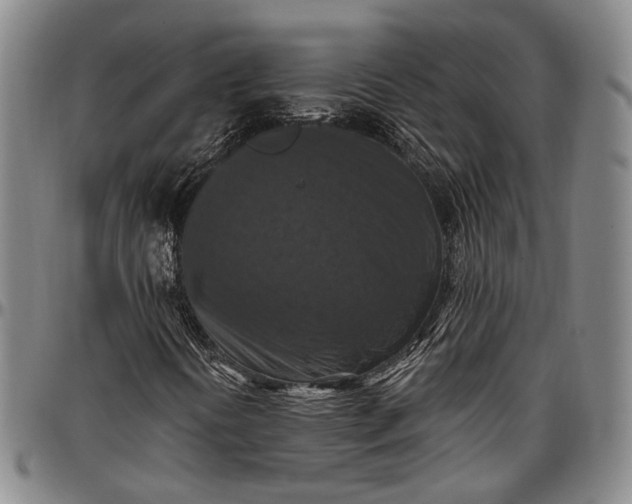 X0000096681394200802191342