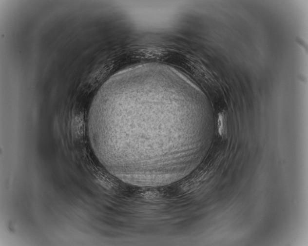 X0000096681395200802191342