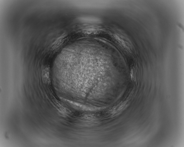 X0000096681396200802191342