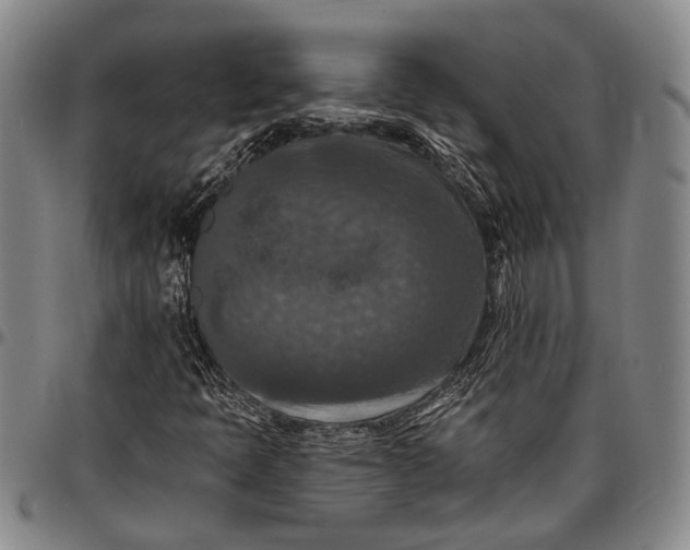 X0000096681397200802191342