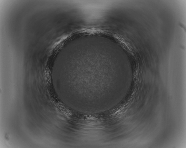 X0000096681398200802191342