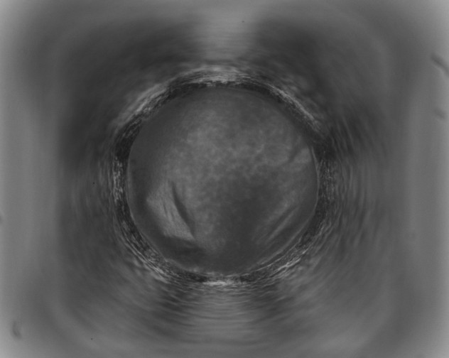 X0000096681399200802191342