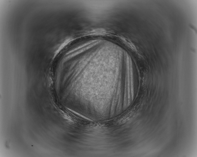X0000096681400200802191342