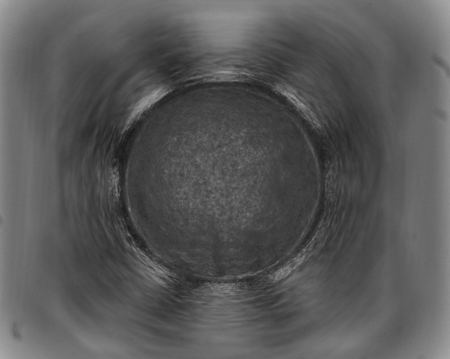 X0000096681402200802191342