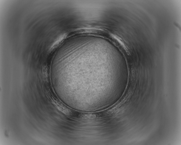 X0000096681403200802191342