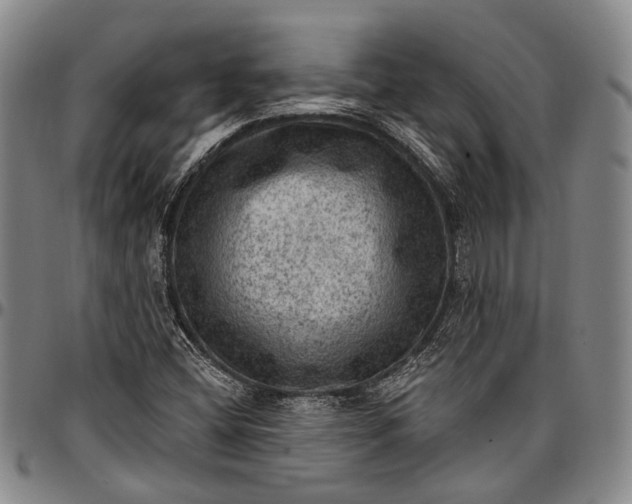 X0000096681404200802191342