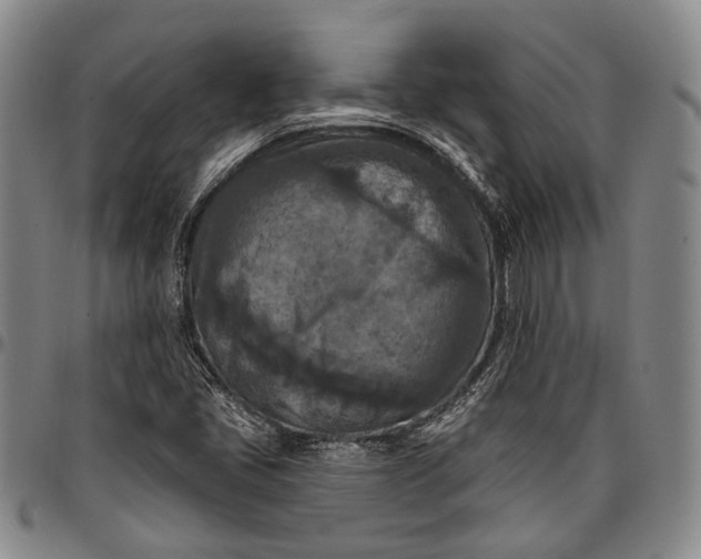 X0000096681405200802191342