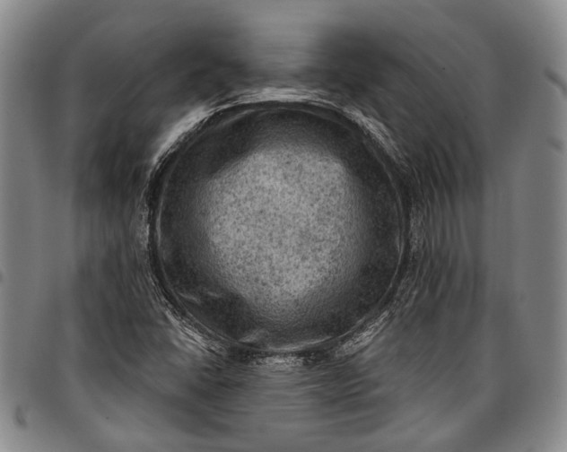 X0000096681406200802191342