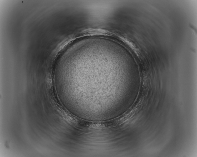 X0000096681407200802191342