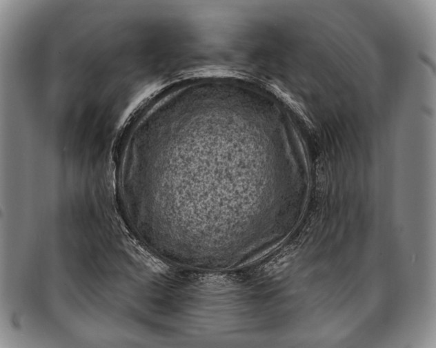 X0000096681408200802191342