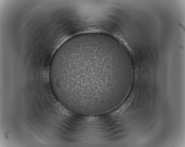 X0000096681409200802191342