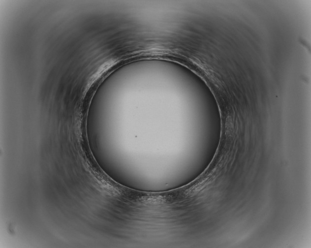X0000096681410200802191342