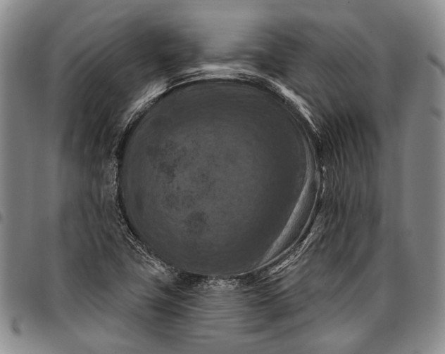 X0000096681411200802191342