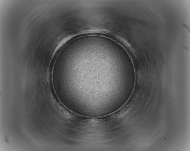 X0000096681412200802191342