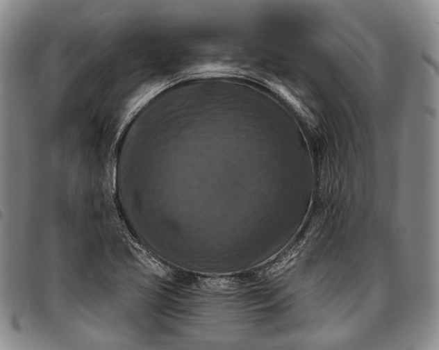 X0000096681413200802191342