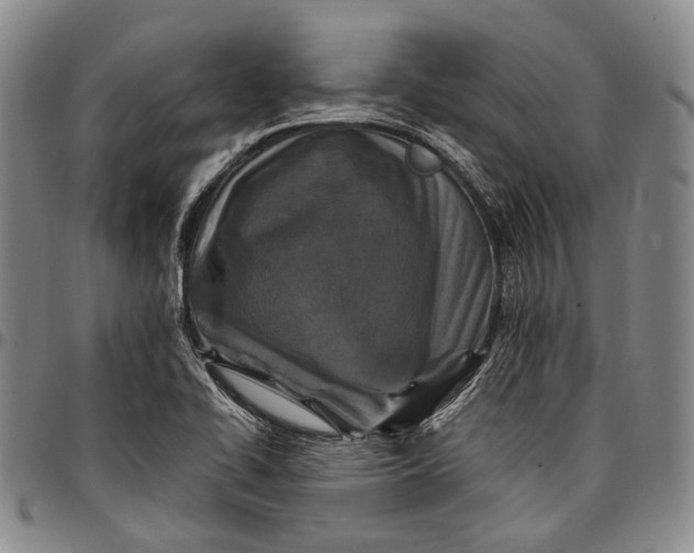 X0000096681414200802191342