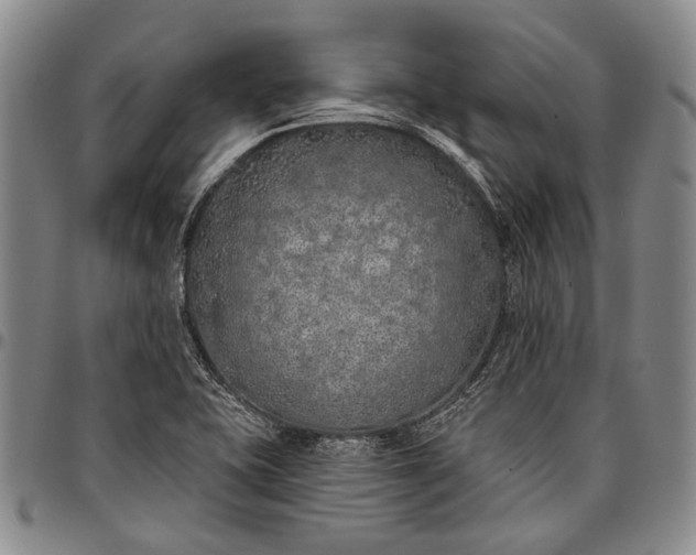 X0000096681415200802191342
