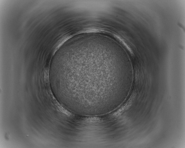 X0000096681417200802191342