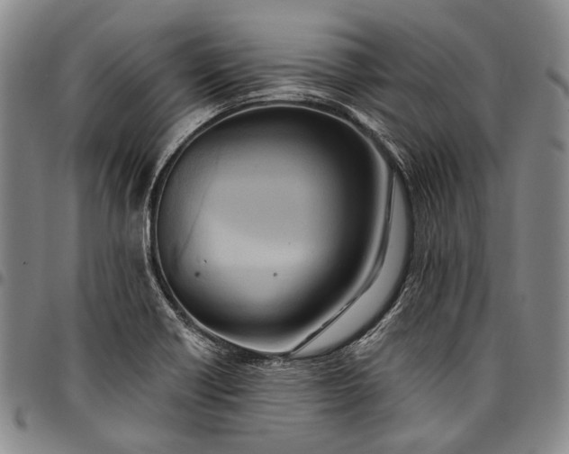 X0000096681418200802191342
