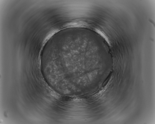 X0000096681419200802191342