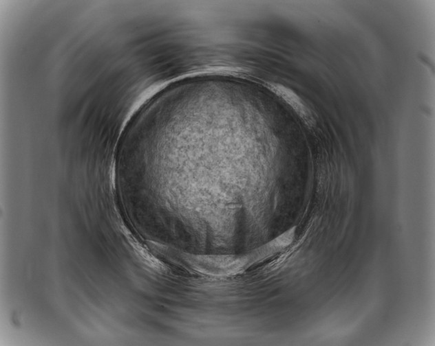 X0000096681420200802191342