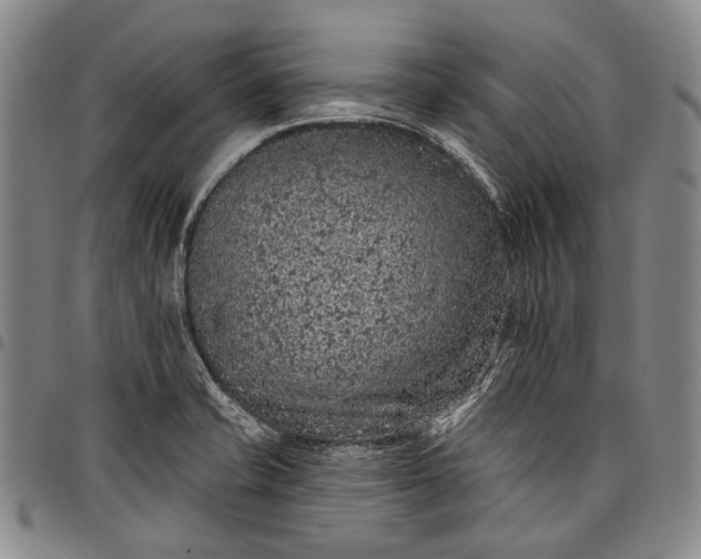 X0000096681421200802191342