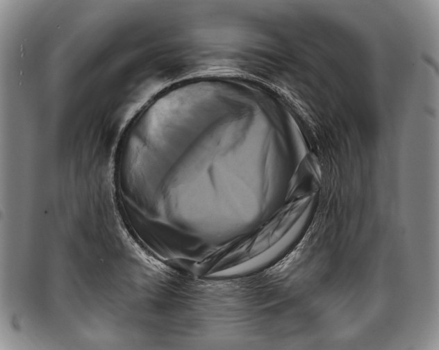 X0000096681422200802191342