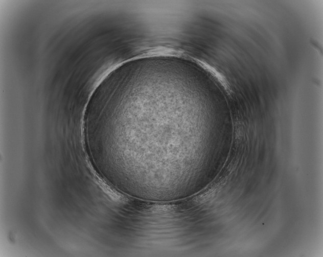 X0000096681423200802191342