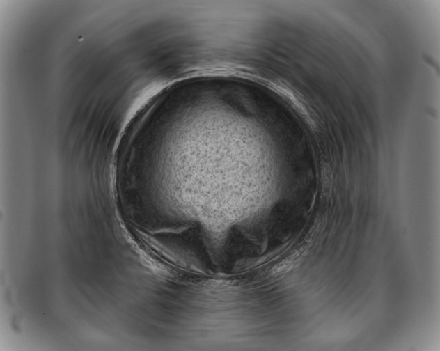 X0000096681424200802191342