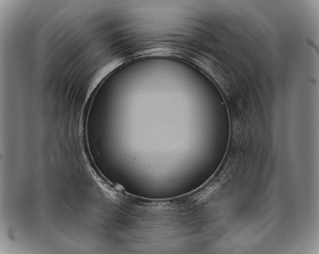 X0000096681426200802191342