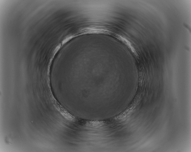X0000096681427200802191342