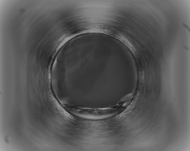 X0000096681428200802191342