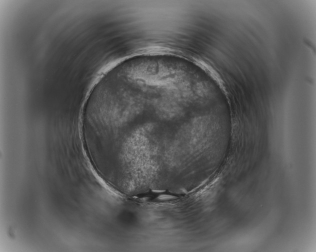 X0000096681429200802191342