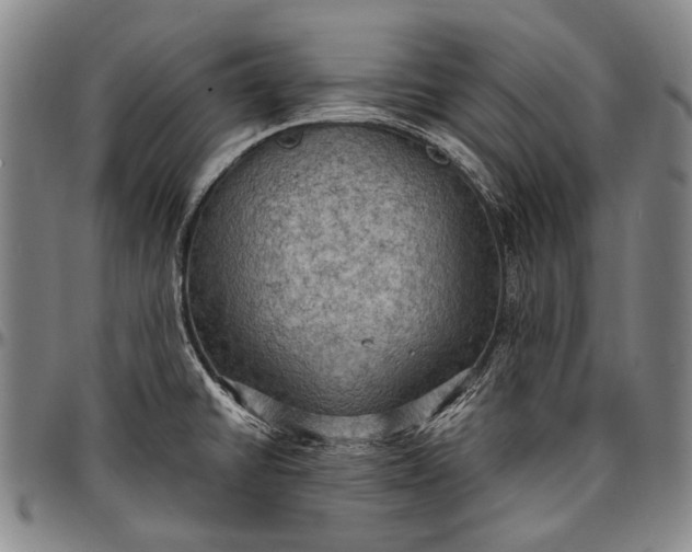 X0000096681430200802191342
