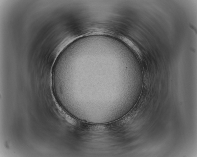 X0000096681431200802191342
