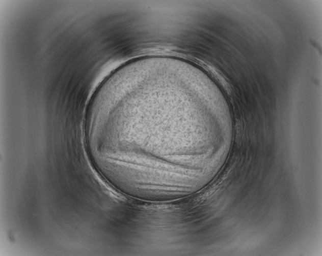 X0000096681432200802191342