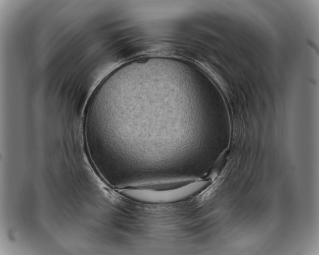 X0000096681434200802191342