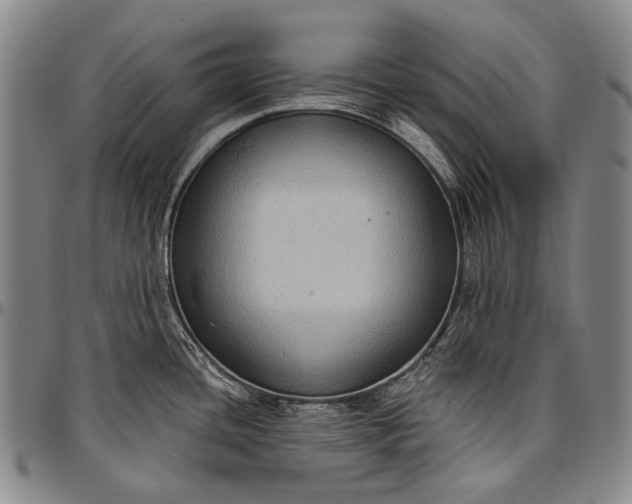 X0000096681436200802191342