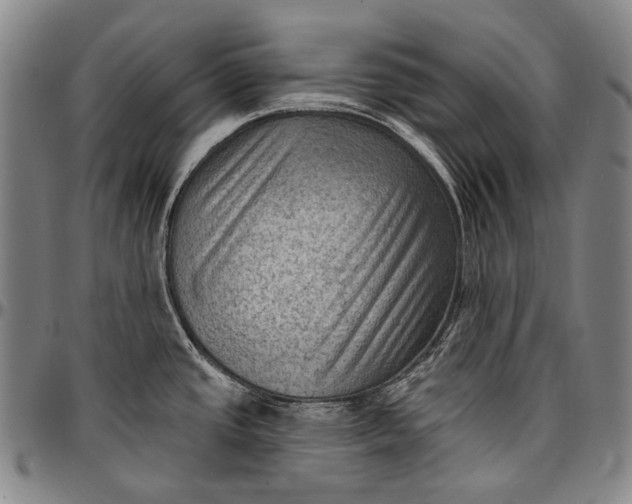 X0000096681437200802191342