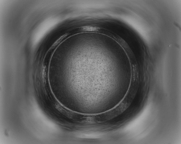 X0000096681438200802191342